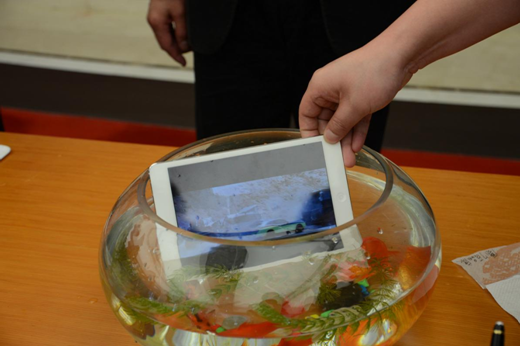 yd2333云顶电子游戏