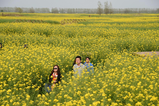 yd2333云顶电子游戏