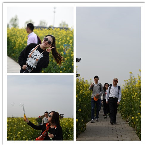 yd2333云顶电子游戏