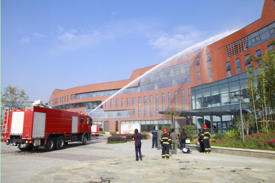 yd2333云顶电子游戏