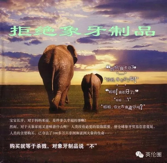 yd2333云顶电子游戏