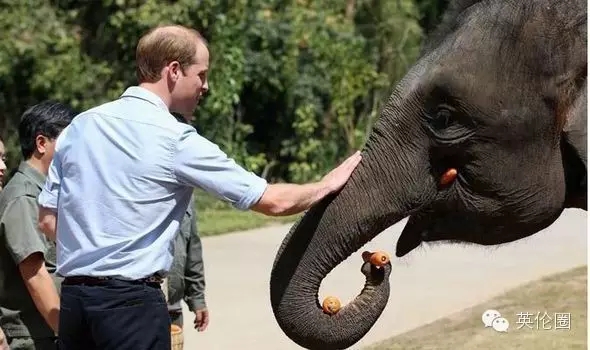 yd2333云顶电子游戏