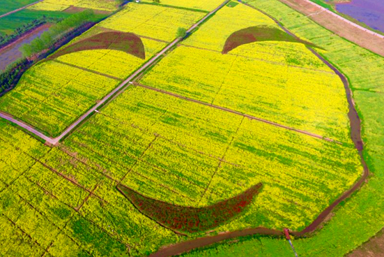 yd2333云顶电子游戏