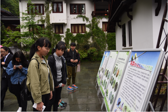 yd2333云顶电子游戏