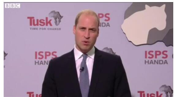 yd2333云顶电子游戏