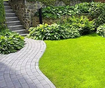 yd2333云顶电子游戏