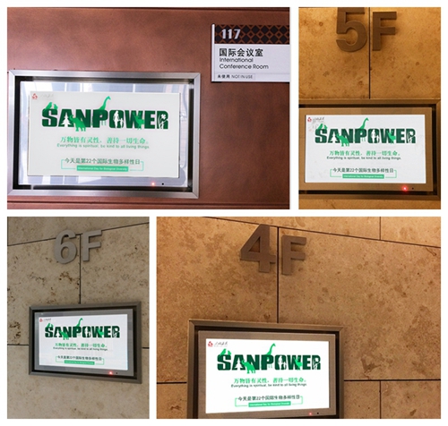 yd2333云顶电子游戏