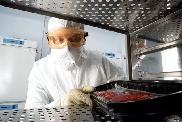 yd2333云顶电子游戏