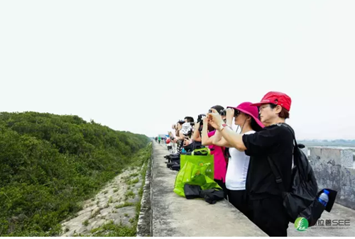 yd2333云顶电子游戏