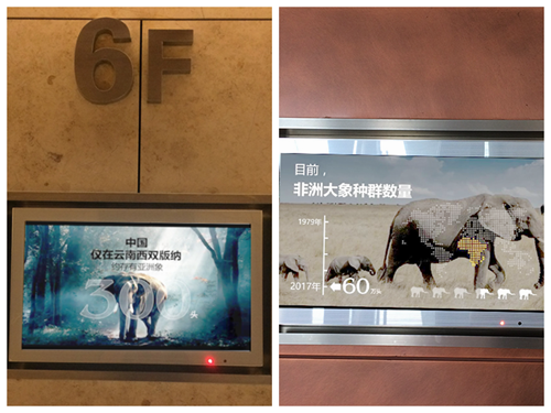 yd2333云顶电子游戏