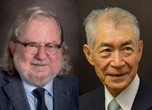 yd2333云顶电子游戏