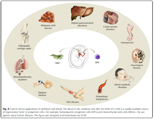 yd2333云顶电子游戏