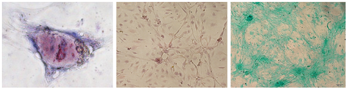 yd2333云顶电子游戏