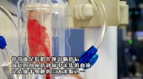 yd2333云顶电子游戏