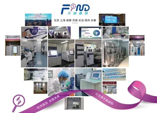 yd2333云顶电子游戏