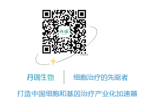 yd2333云顶电子游戏