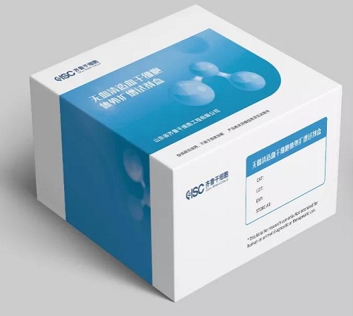 yd2333云顶电子游戏