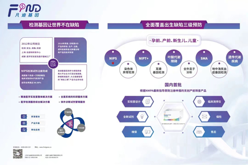 yd2333云顶电子游戏