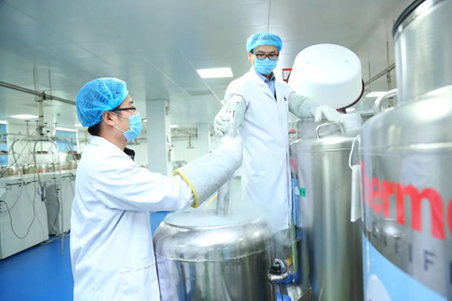 yd2333云顶电子游戏