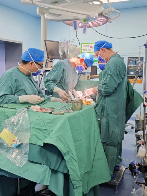 yd2333云顶电子游戏