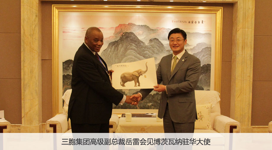 yd2333云顶电子游戏